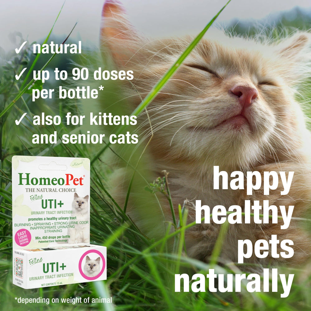 HomeoPet dosage sur cuillère illustrant posologie pratique pour chat