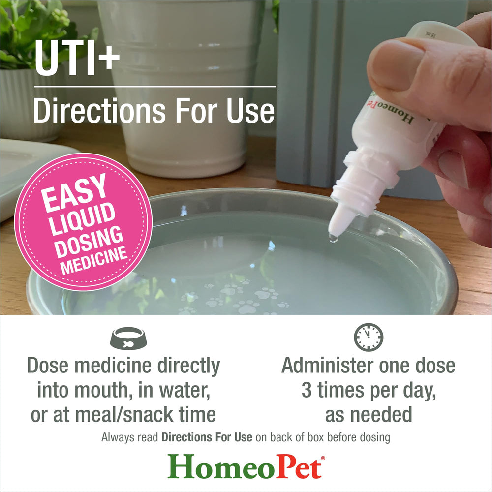 HomeoPet flacon de 15 ml à l'échelle pour visualiser la contenance pratique