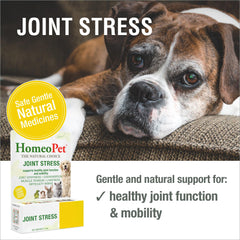 HomeoPet gouttes en main illustrant dosage précis et prise simple