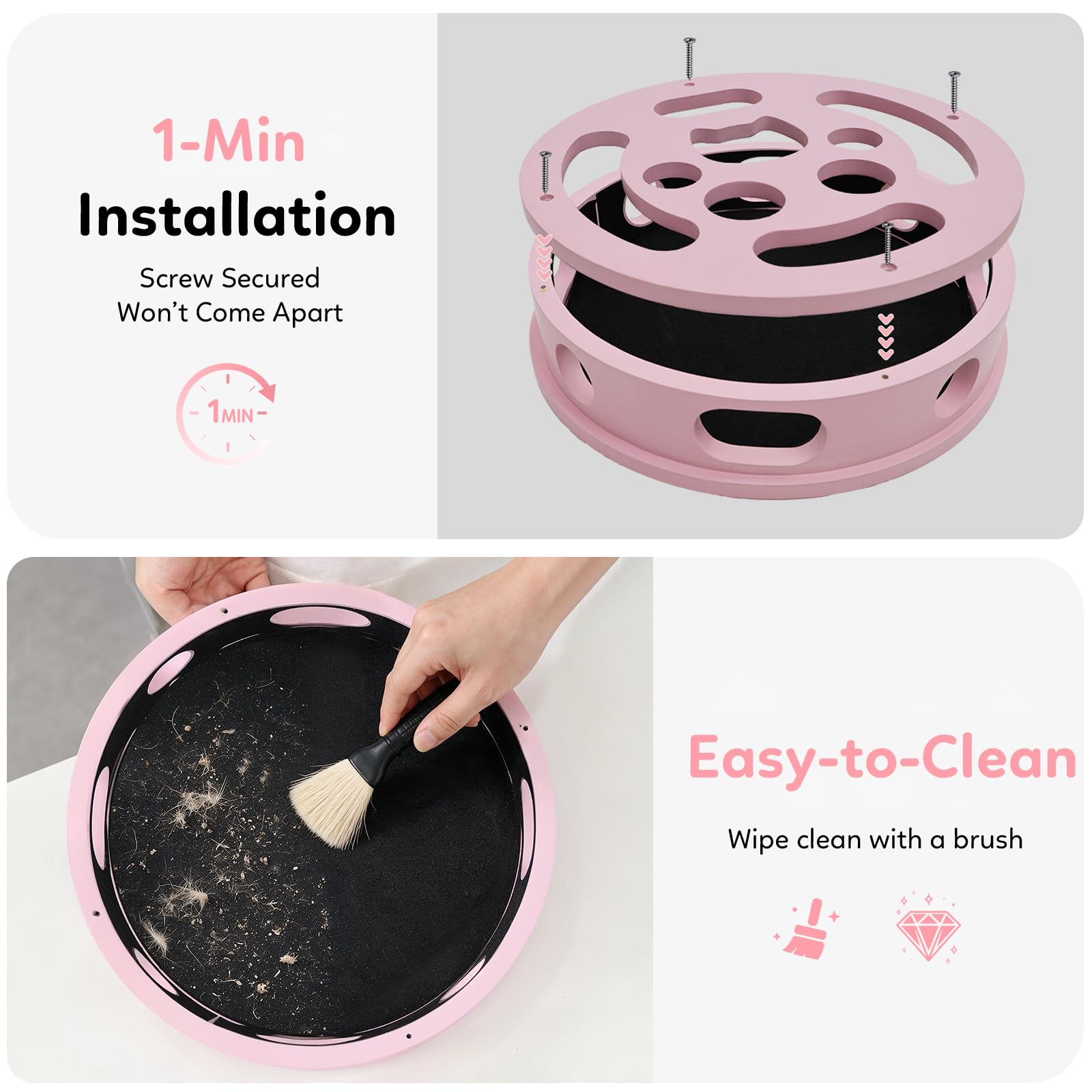 HOMEPEDIA comparaison taille, montre dimensions adaptées à tout chat