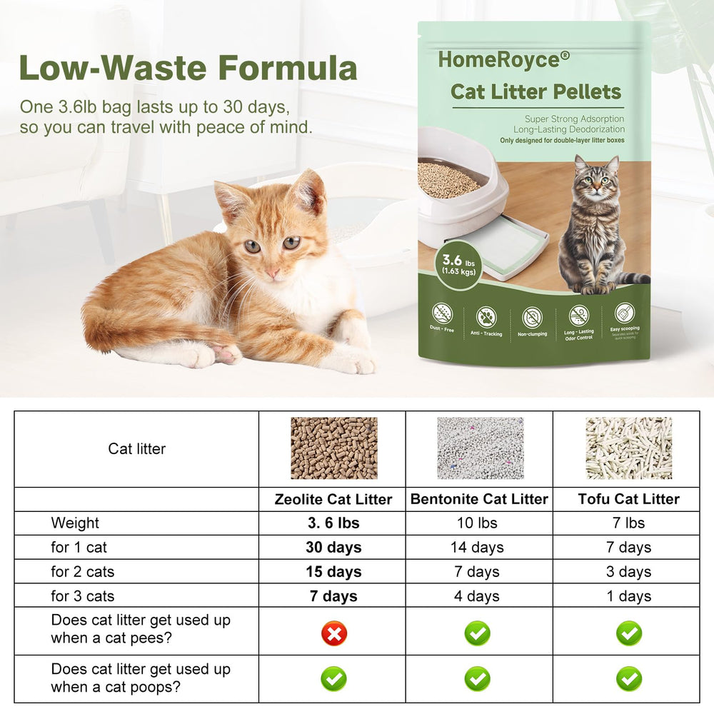 HomeRoyce mise en scène maison montrant propreté et confort pour chat