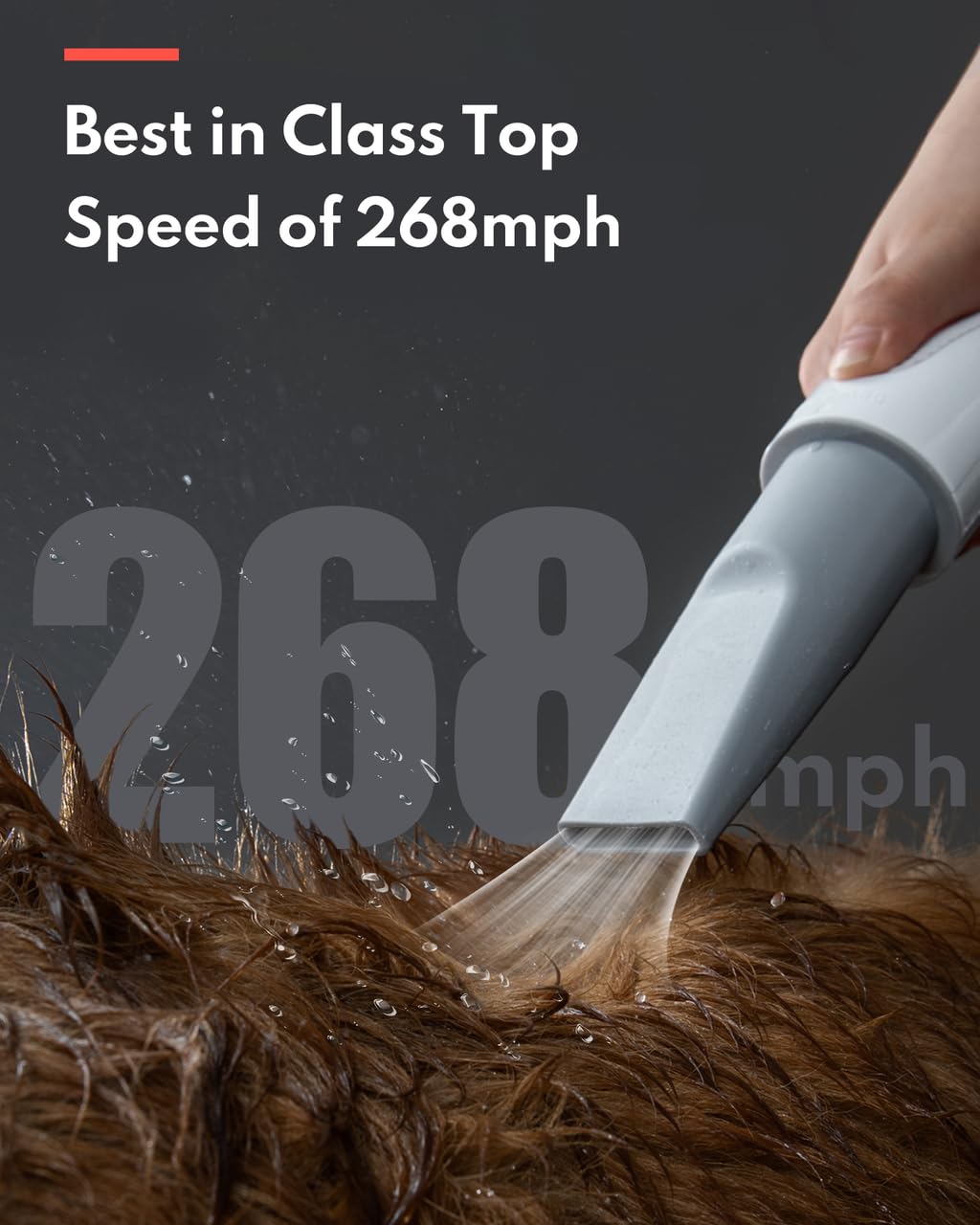 HomeRunPet embout ultra‑large pour séchage rapide du corps et gain de temps