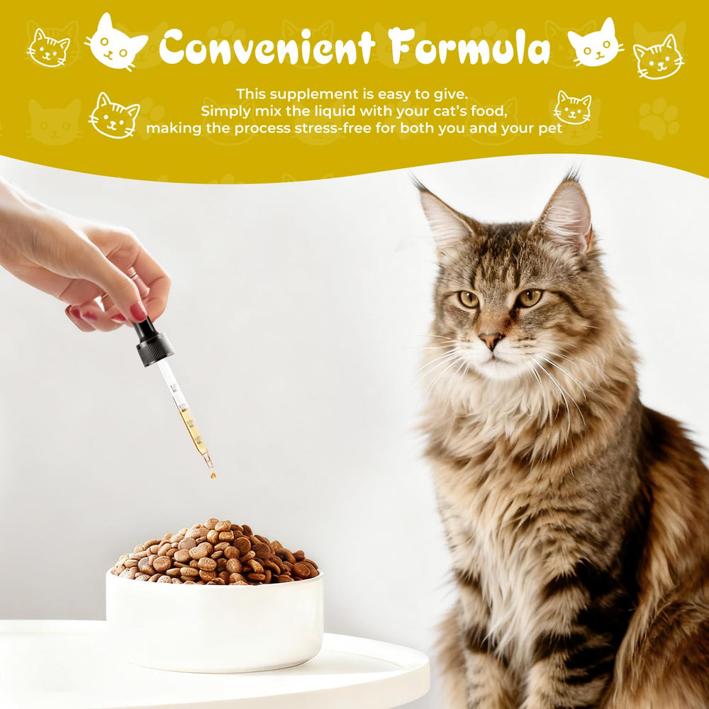 Avant et après pelage d’un chat montrant amélioration et fourrure plus saine
