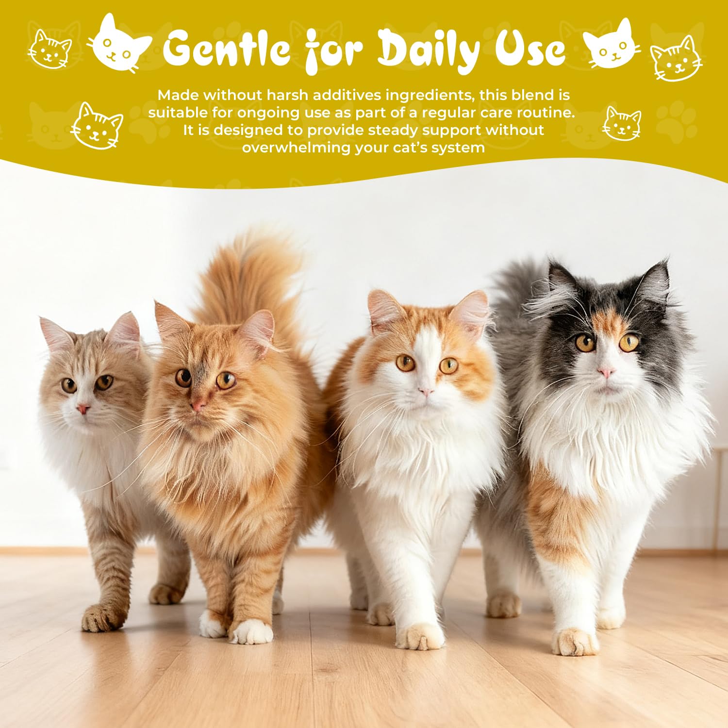 Chat détendu sur canapé après utilisation Homibabis montrant confort durable