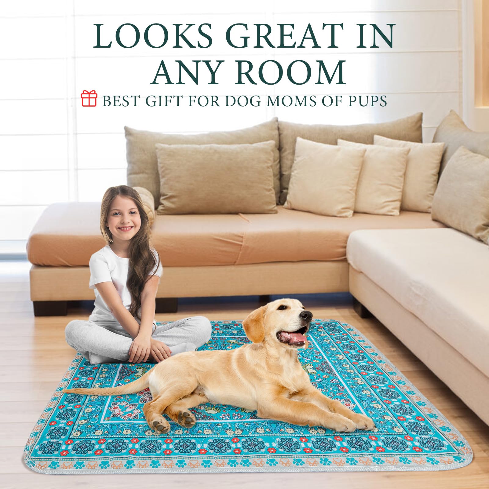 Homimp tapis comparé à chien montre couverture généreuse