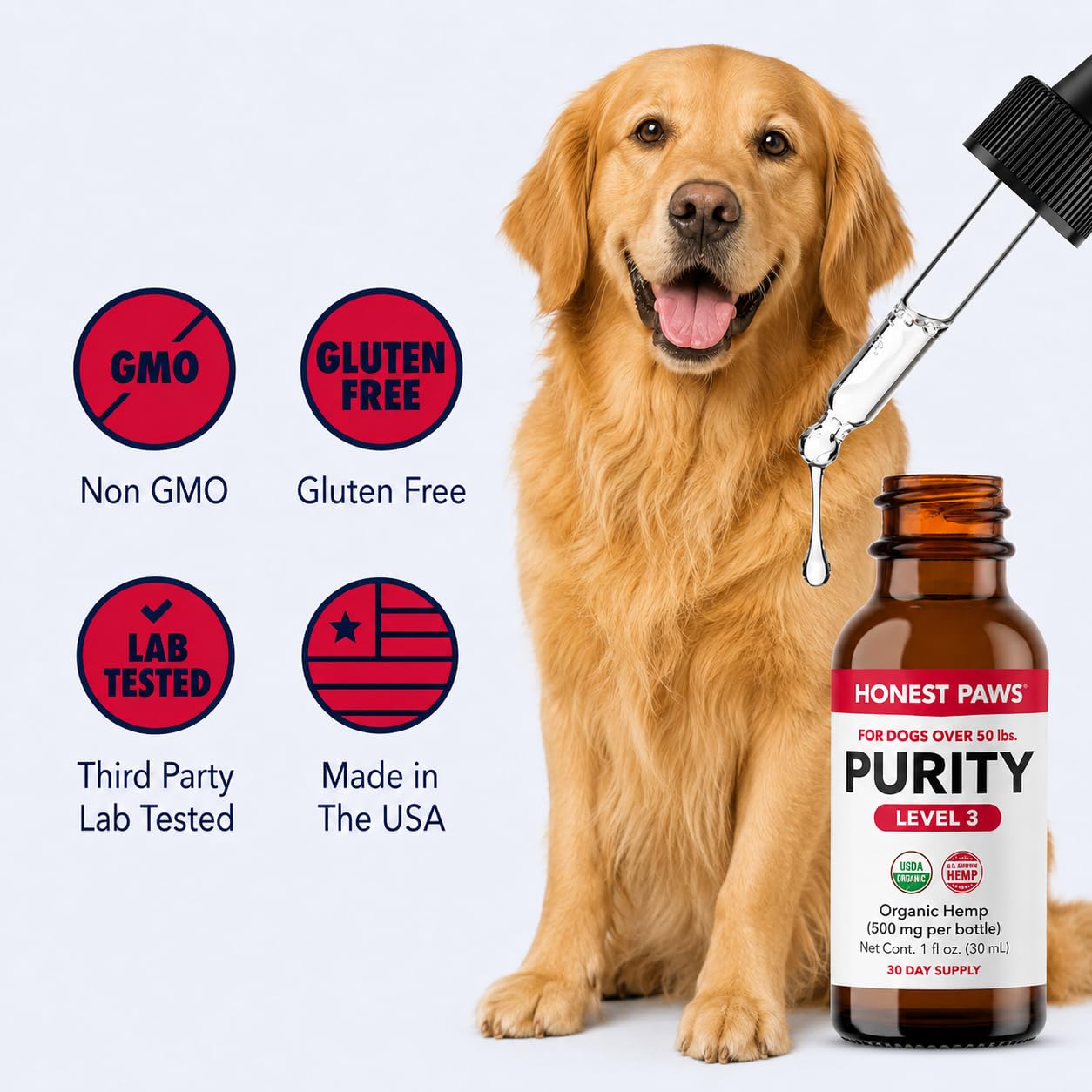 Honest Paws chien actif en extérieur illustrant mobilité et vitalité