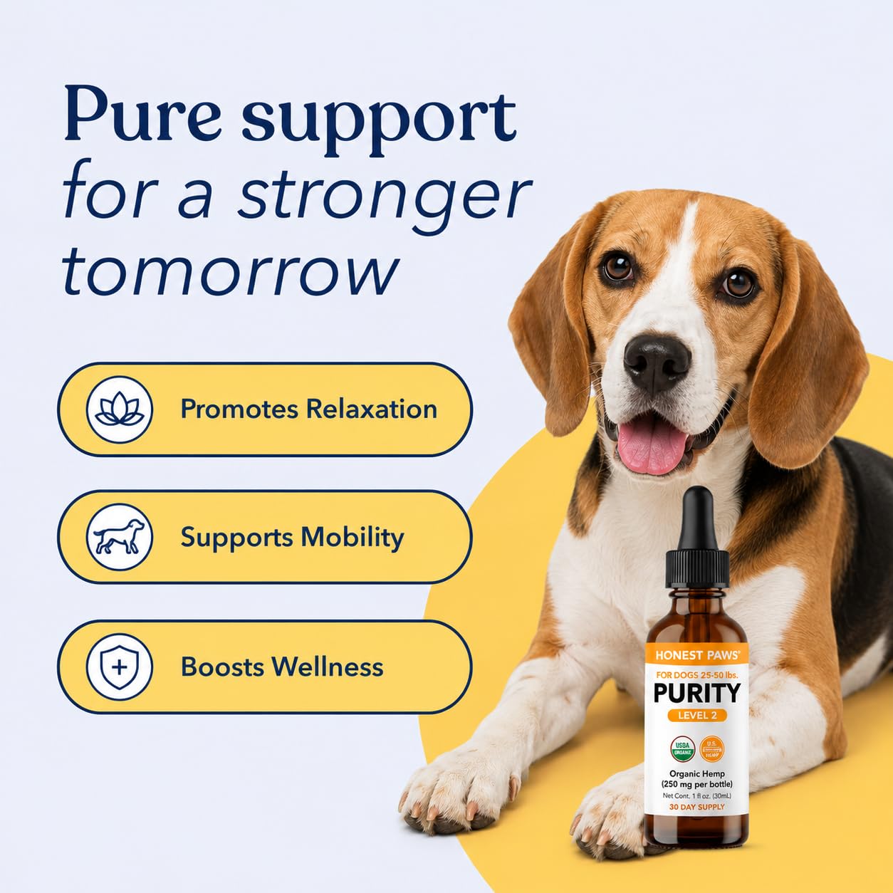 Honest Paws intégré à la routine canine pour bien‑être quotidien