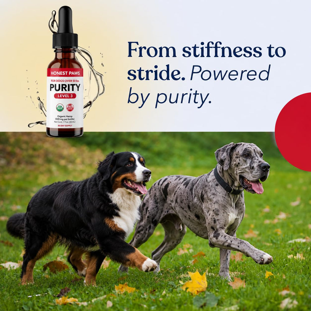 Honest Paws goutte d'huile montrant texture légère et absorption naturelle