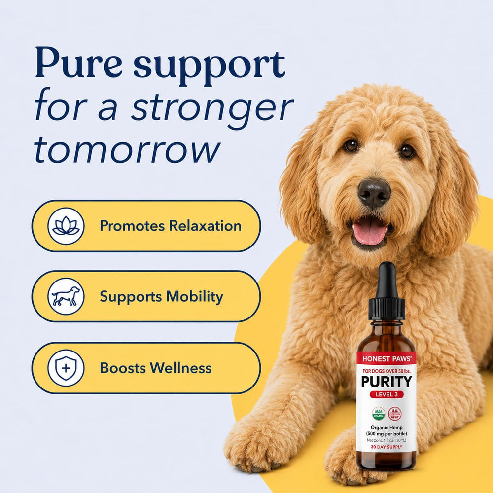 Honest Paws rapport de laboratoire tiers montrant tests et sécurité