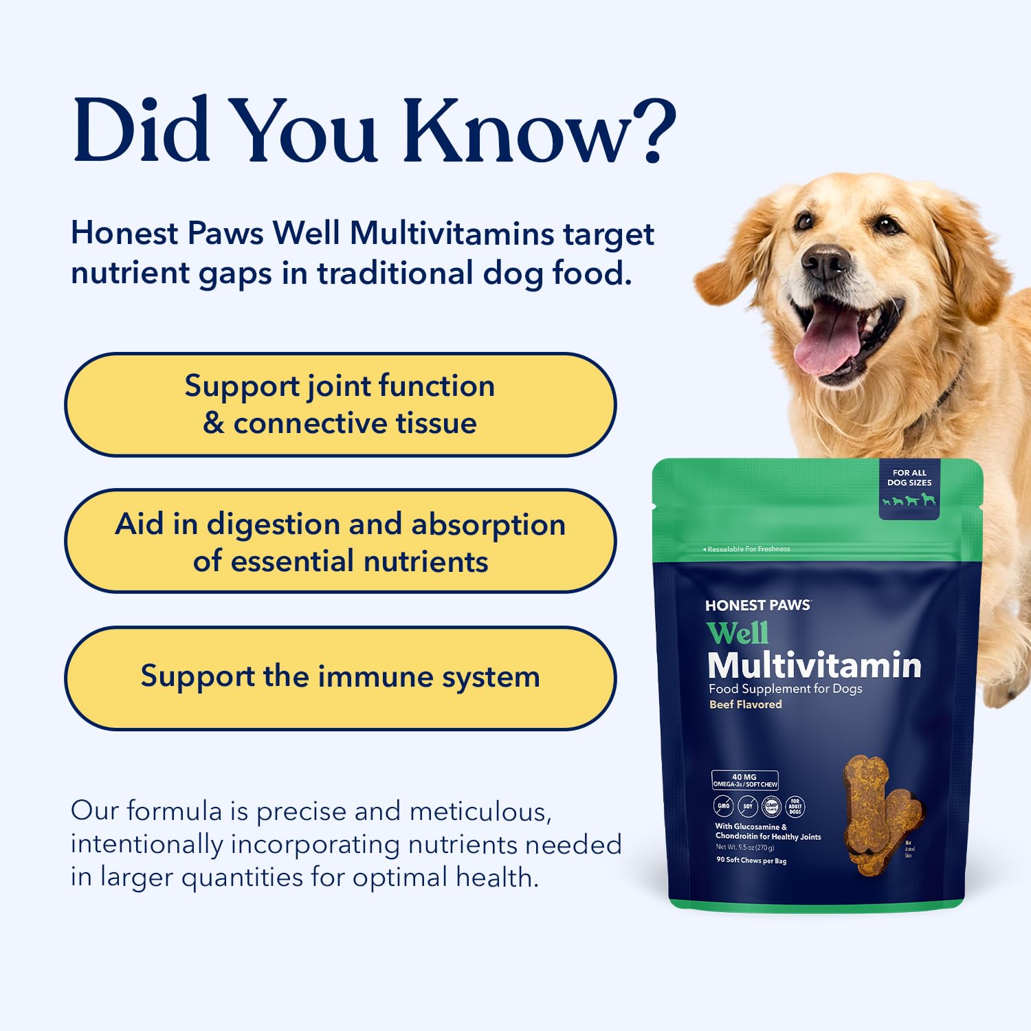 Chien recevant une croquette Honest Paws en récompense, moment de complicité