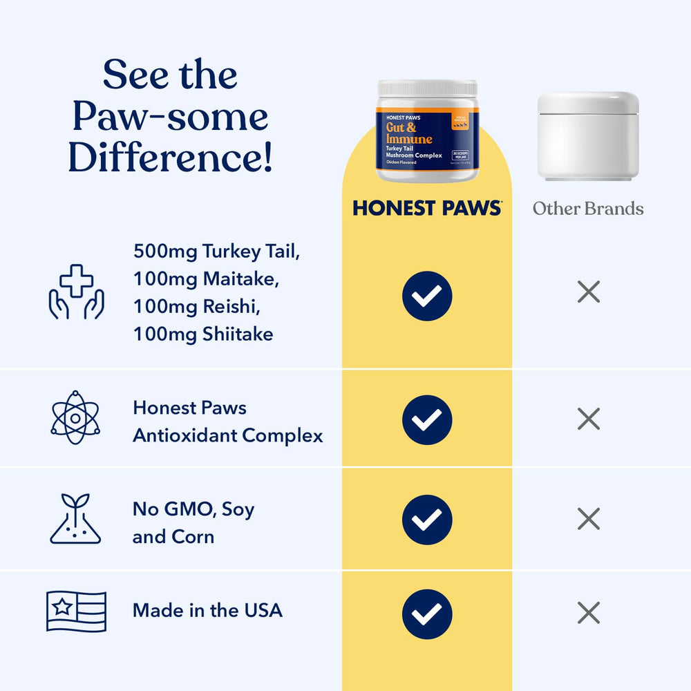 Honest Paws gros plan poudre texture fine bénéfice absorption