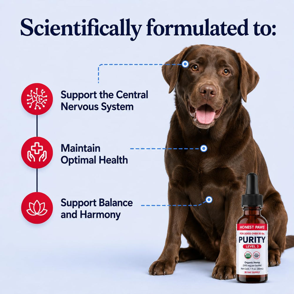 Honest Paws gros plan étiquette détaillant oméga 3‑6‑9 et traçabilité