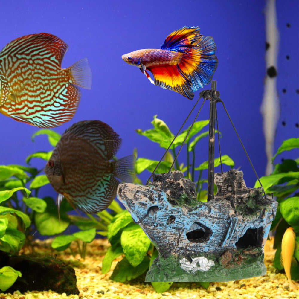 HoneTeek épave intégrée dans décor aquatique créant ambiance sous-marine