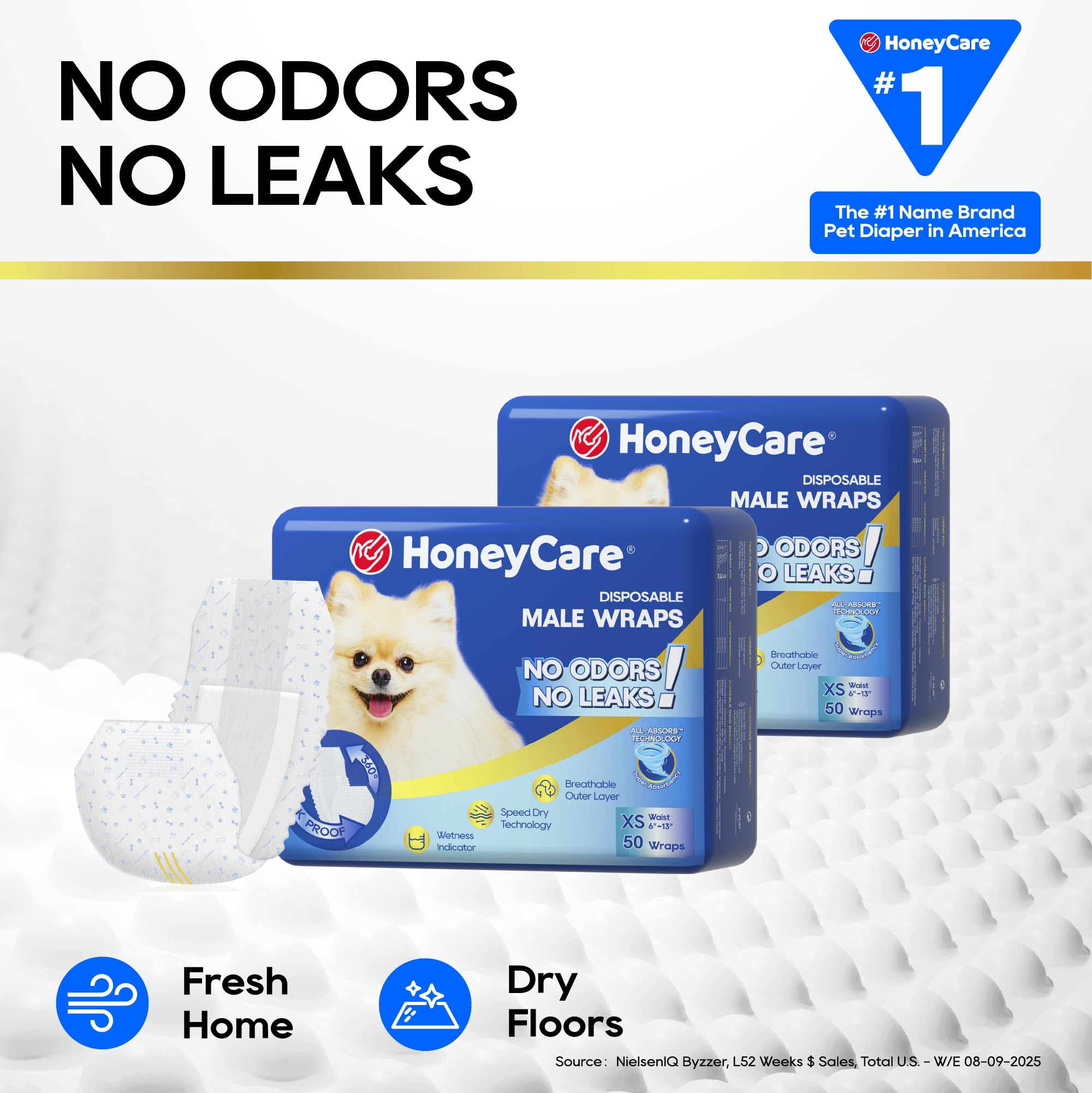 HONEY CARE chien portant la couche à la maison confort et sécurité