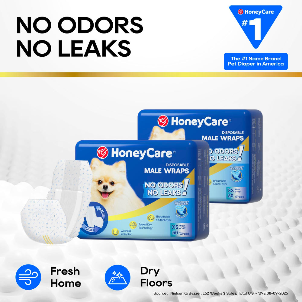 HONEY CARE chien portant la couche à la maison confort et sécurité