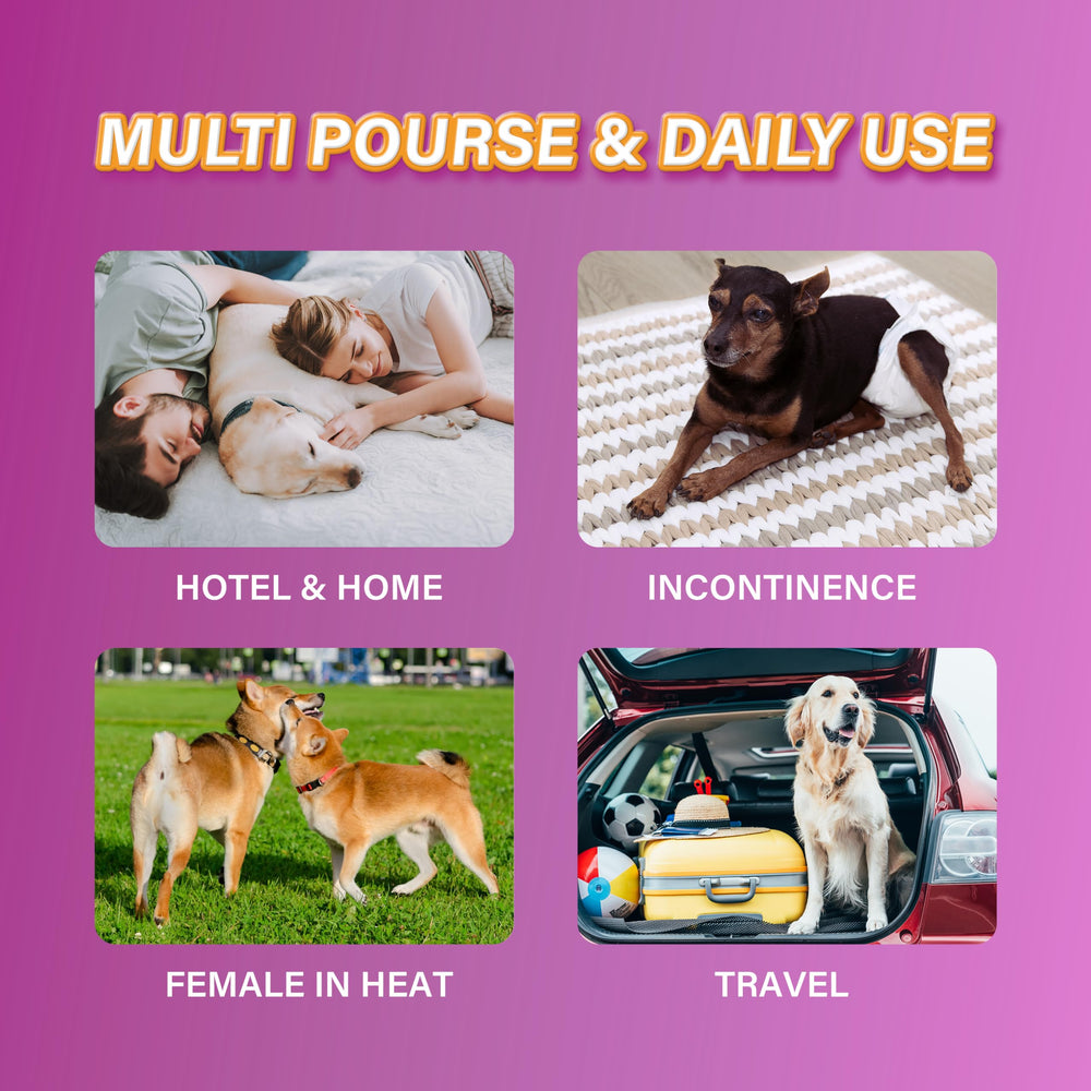 HONEY CARE chien portant la couche en situation, maintien sûr