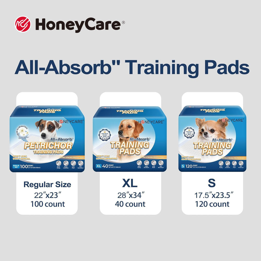 HONEY CARE chiot utilisant le tapis pour un apprentissage de propreté facilité