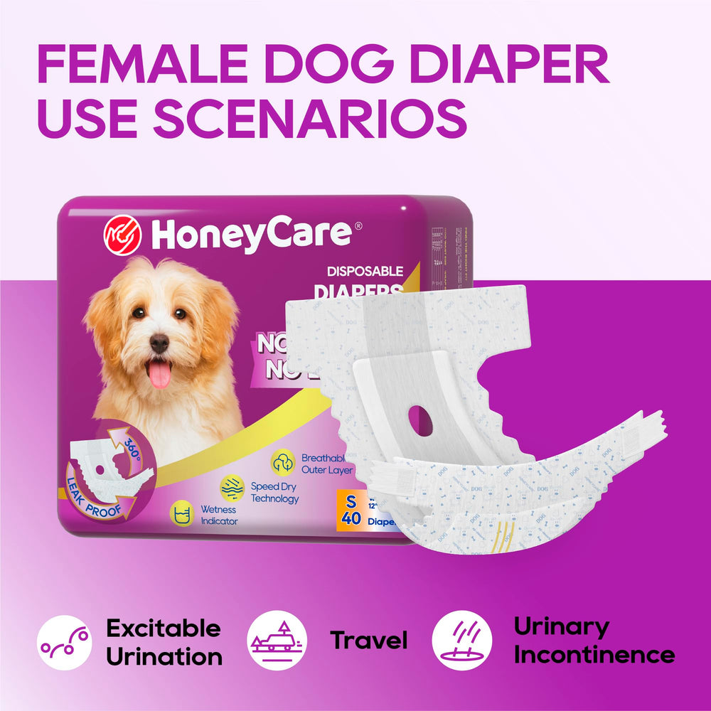 HONEY CARE comparaison de tailles indiquant circonférence pour bon ajustement