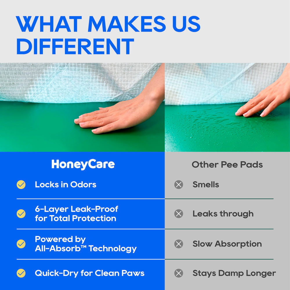 HONEY CARE coupe transversale du noyau montrant gel absorbant efficace