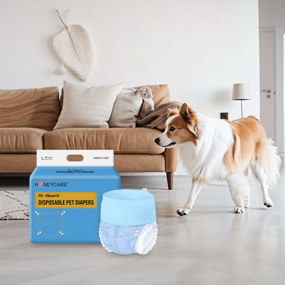 HONEY CARE témoin d'humidité changeant de couleur pour signaler remplacement
