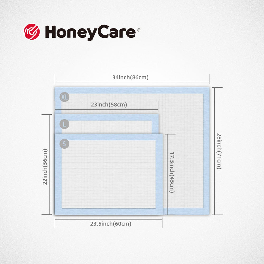 Honey Care chiot utilisant le tapis dans un salon, aide à l'apprentissage