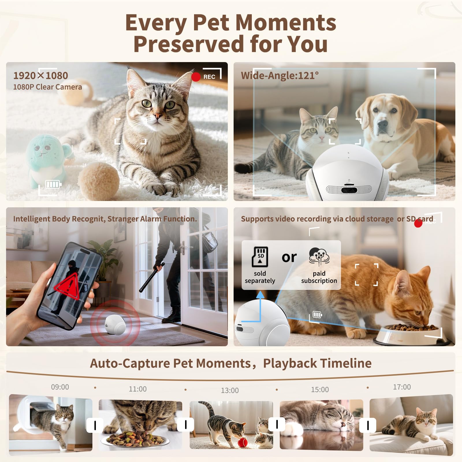 Honey Tour lumière interactive visible pour jouer avec chat et stimuler activité