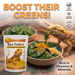 Gros plan sur la poudre HONEY&SUN montrant texture ultra-fine, facilite adhérence aux aliments