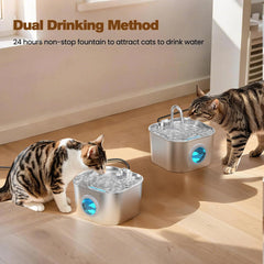 HOOISE fontaine jauge transparente permettant voir niveau d'eau et remplir facilement