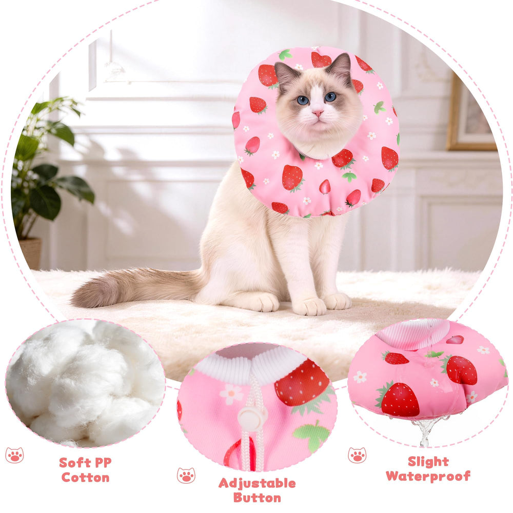 Hoopttay collier en usage sur chat protège plaies et permet manger