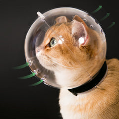 Hoqqf casque transparent vue avant montrant protection et confort