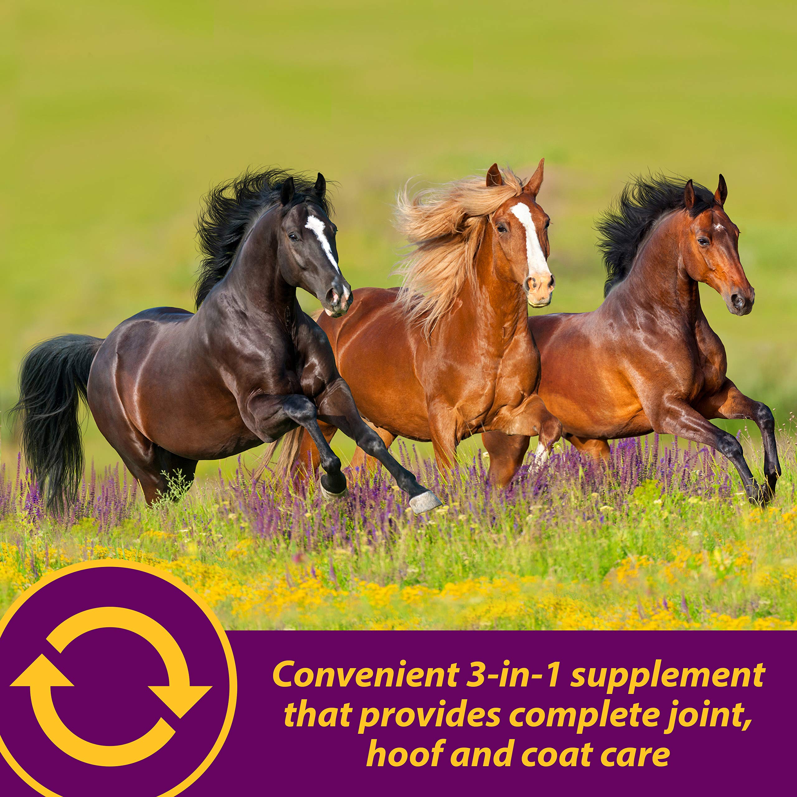 Horse Health cheval mangeant mélange pour administration facile