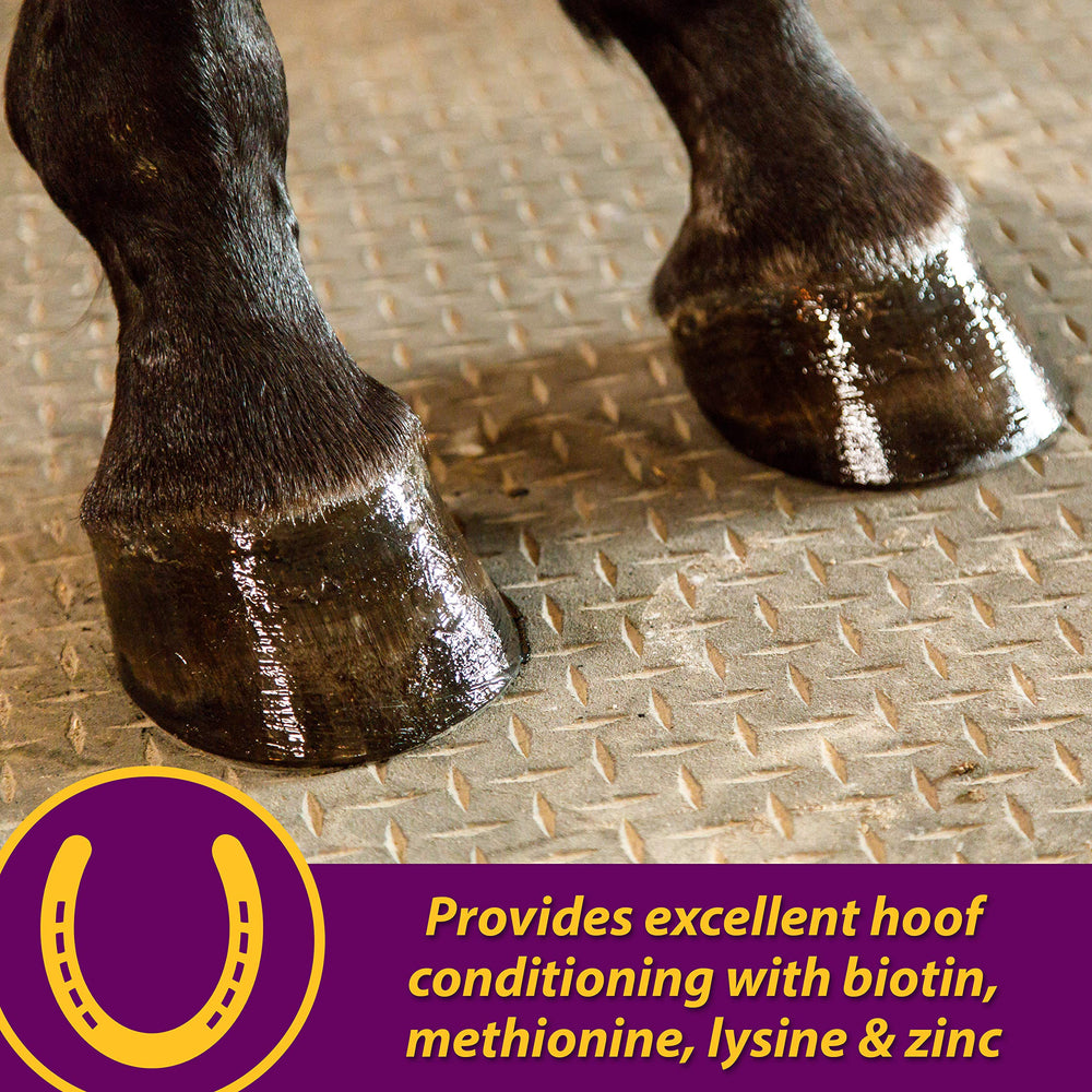 Horse Health pelage brillant après usage pour esthétique