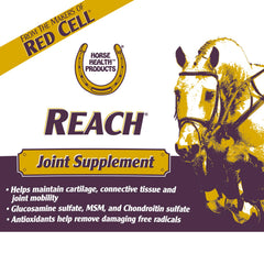 Horse Health gros plan des granulés montrant texture appétente et mélange facile
