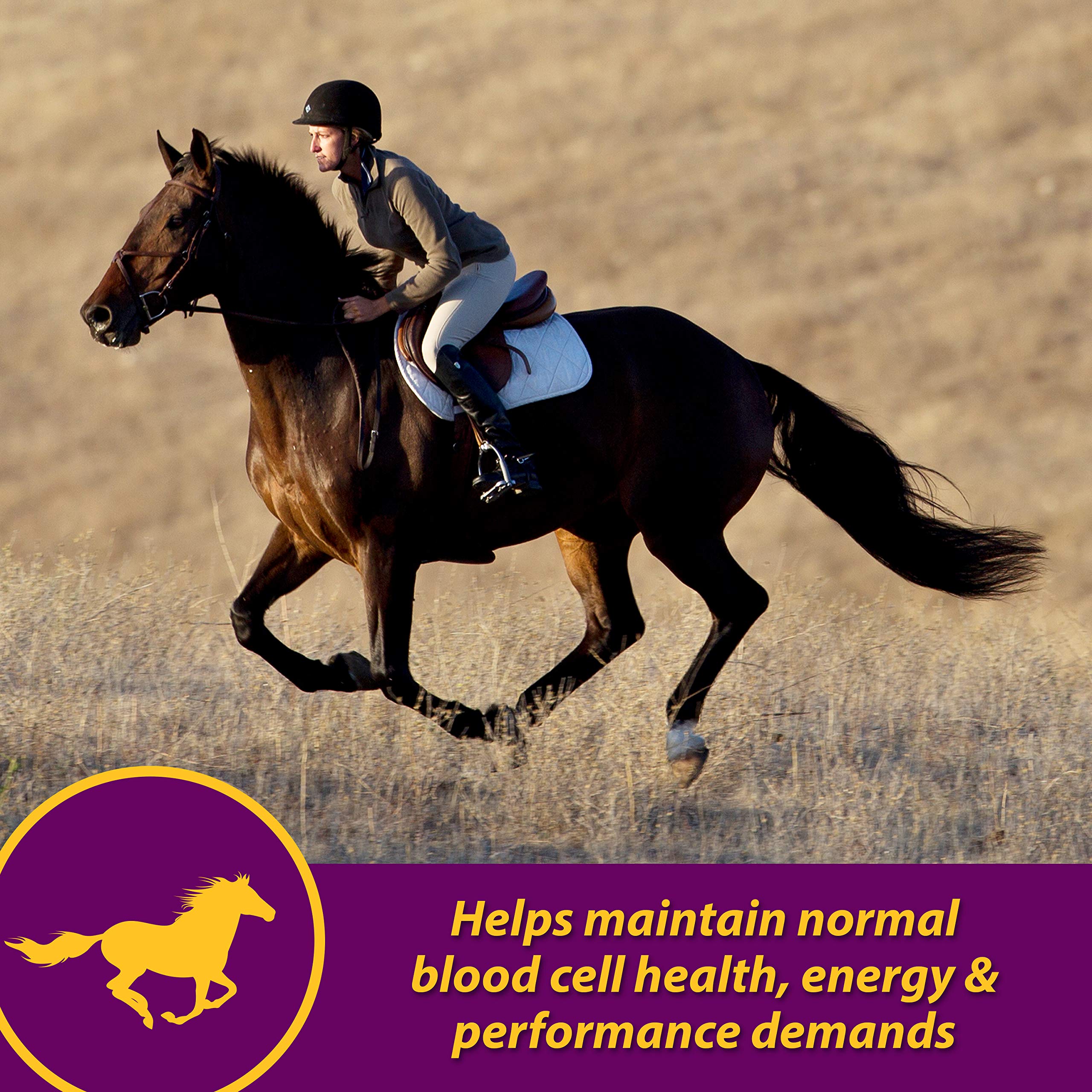 Horse Health Red Cell bouteille 128 oz gros plan soulignant l’étiquette lisible