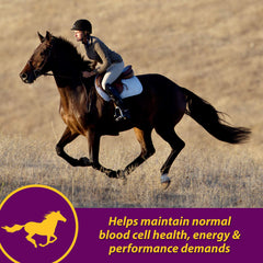 Horse Health Red Cell bouteille 128 oz gros plan soulignant l’étiquette lisible