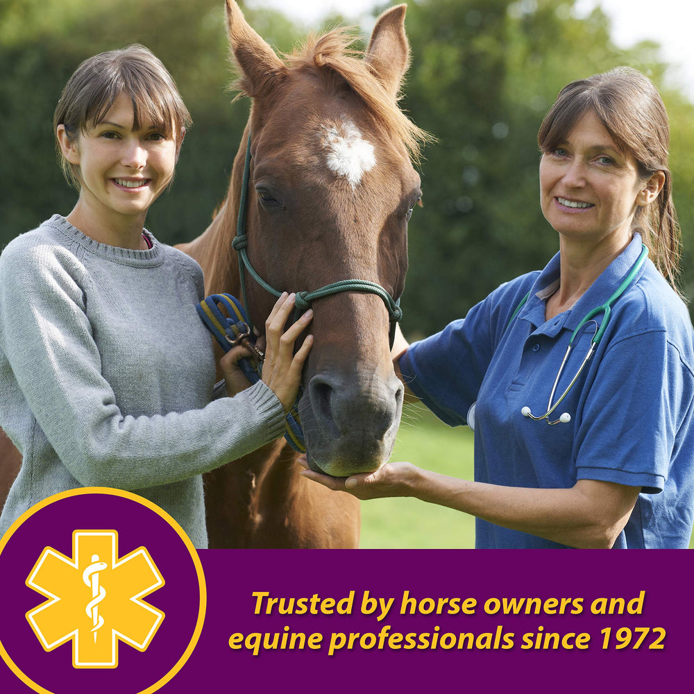 Horse Health Red Cell cheval buvant montrant acceptation et appétence du produit