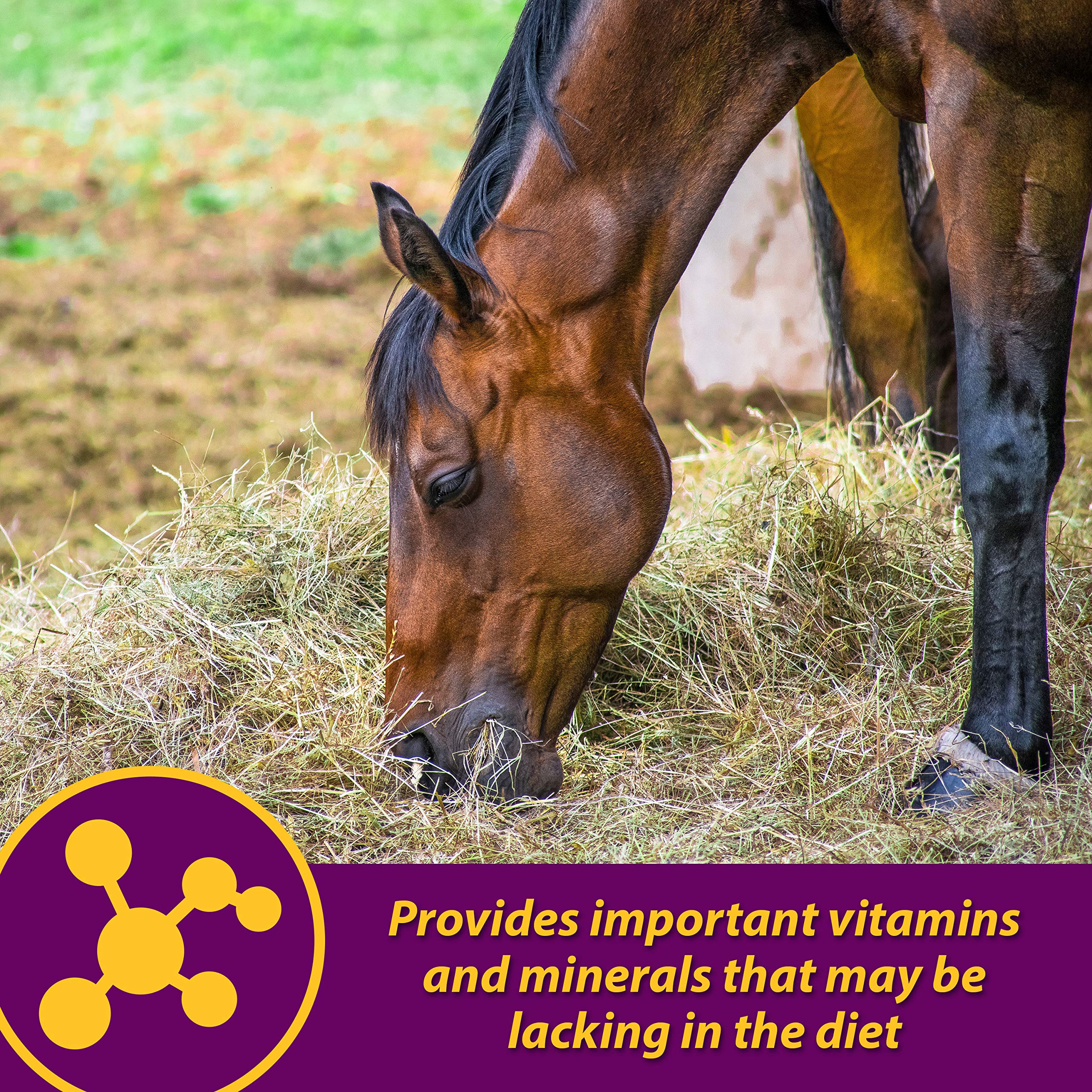 Horse Health Red Cell étiquette ingrédients mettant en avant fer et vitamines B