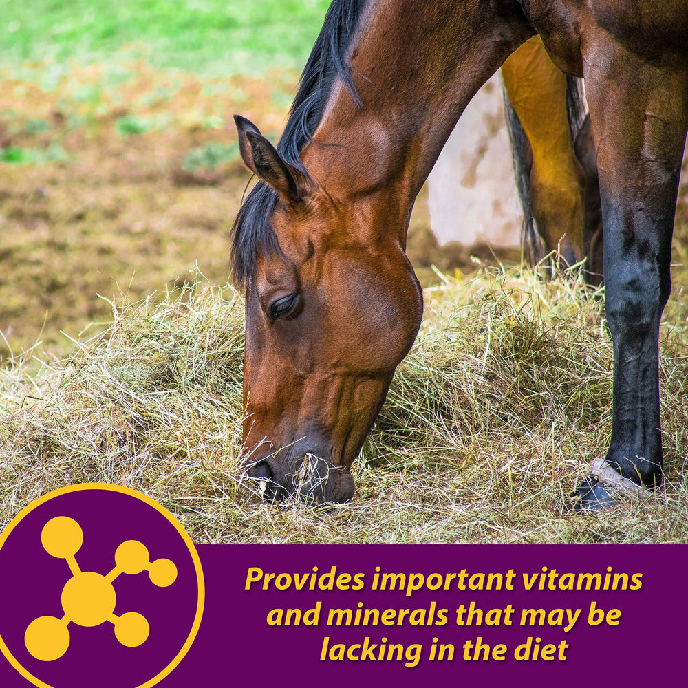 Horse Health Red Cell étiquette ingrédients mettant en avant fer et vitamines B