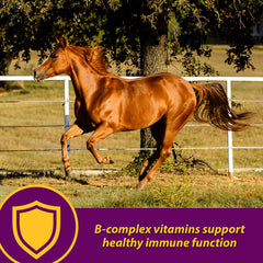Horse Health Red Cell seringue de dosage illustrant l’administration précise et facile