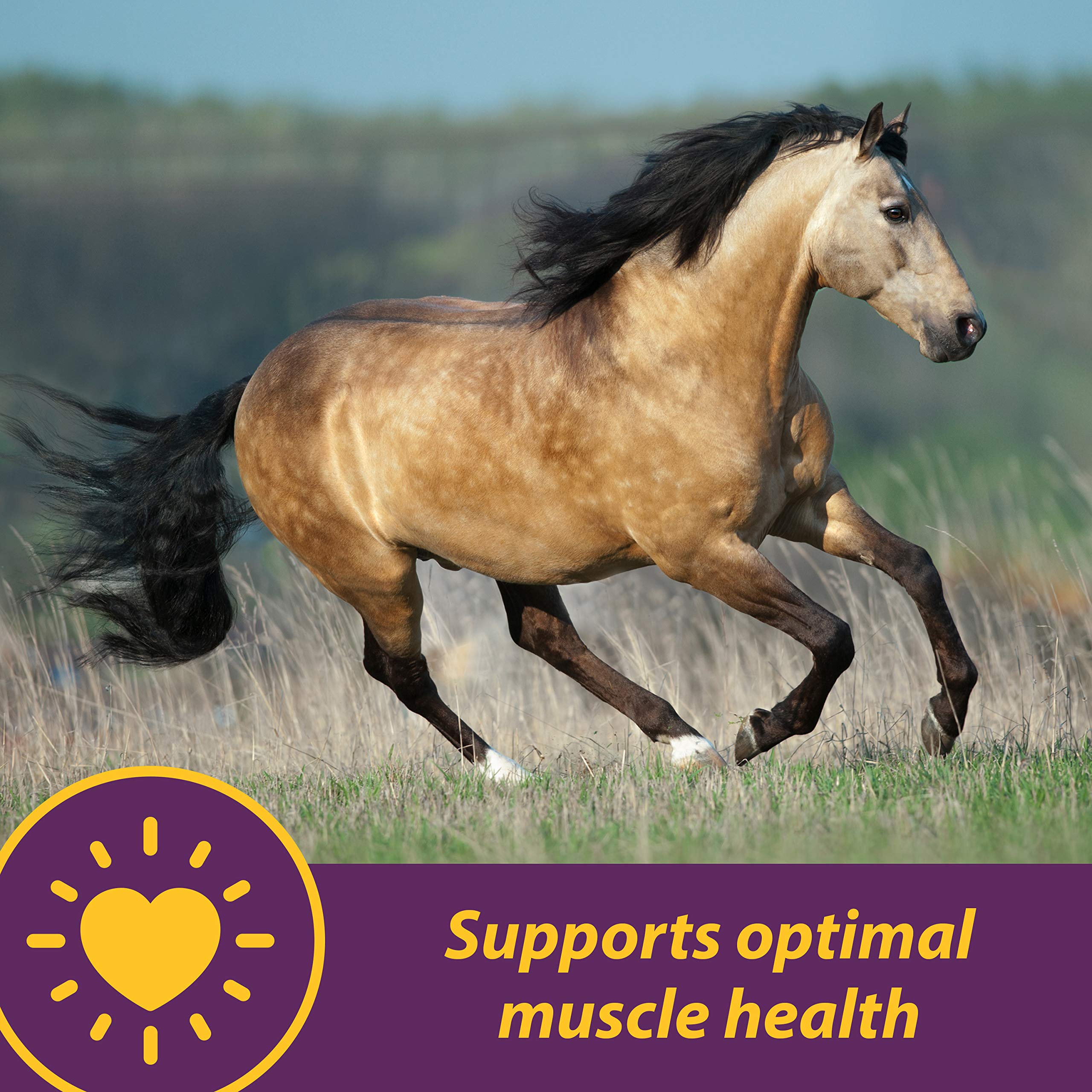 Horse Health gros plan sur les granulés crumbles, appétence et mélange facile