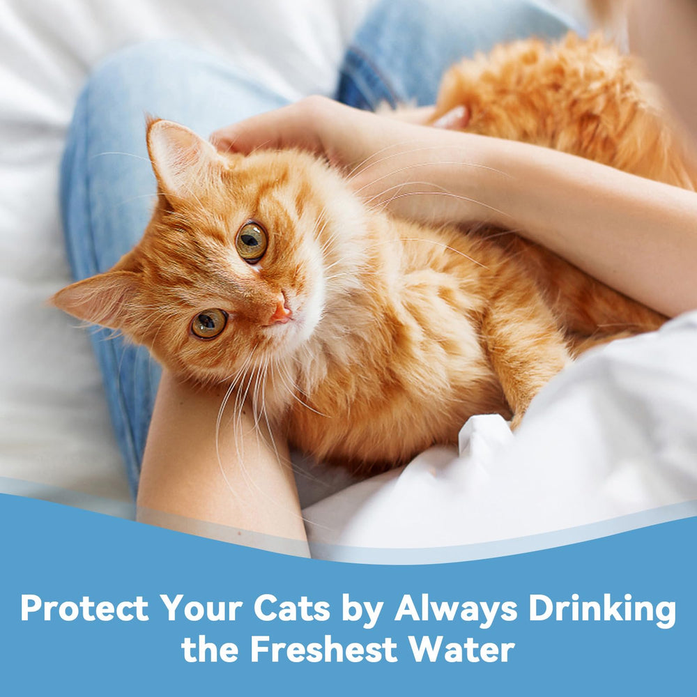 Hoscabss fontaine en cuisine avec chat buvant eau plus propre