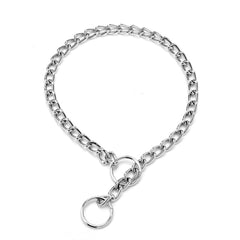 Hotlion collier devant montrant design robuste et contrôle sécurisé