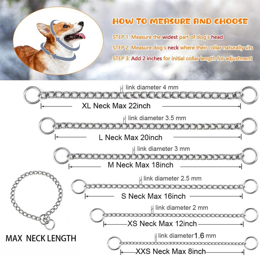 Hotlion collier sur chien en promenade pour meilleur signal d'obéissance