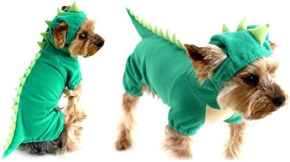 Hotumn sur petit chien en promenade, costume stable et photogénique