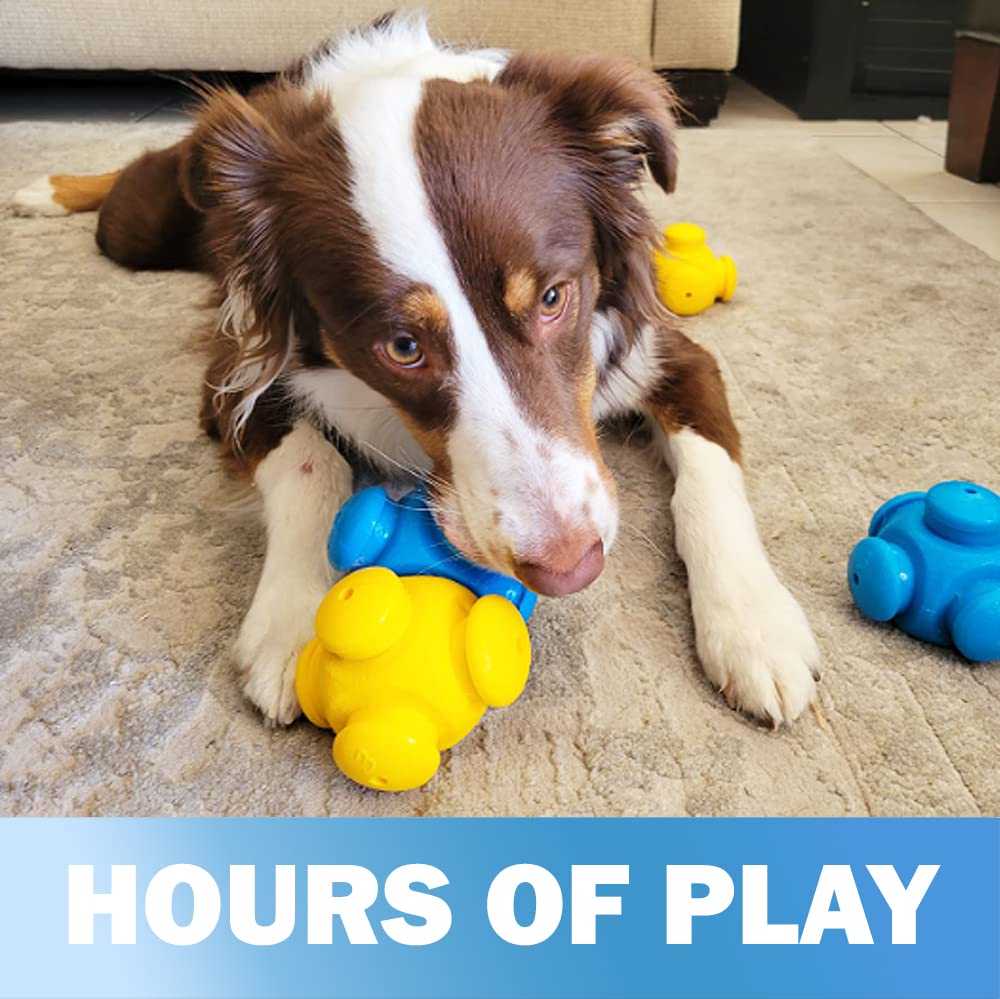HOUNDGAMES chien utilisant le jouet récompensé par friandise pour stimulation mentale
