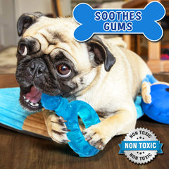 HOUNDGAMES gros plan sur textures variées pour massage des gencives