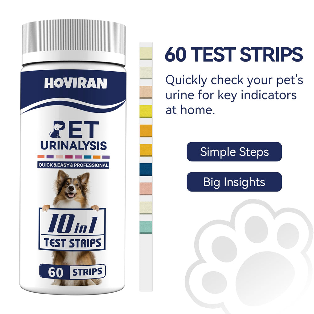 HOVIRAN bandelette en cours de test dans récipient d'urine, facilité d'utilisation