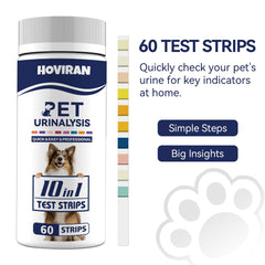 HOVIRAN bandelette en cours de test dans récipient d'urine, facilité d'utilisation