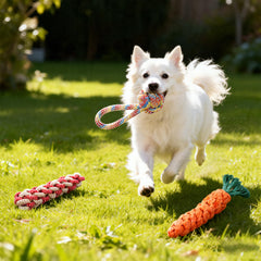 Hoyweo trois formes variées pour garder le chiot intéressé