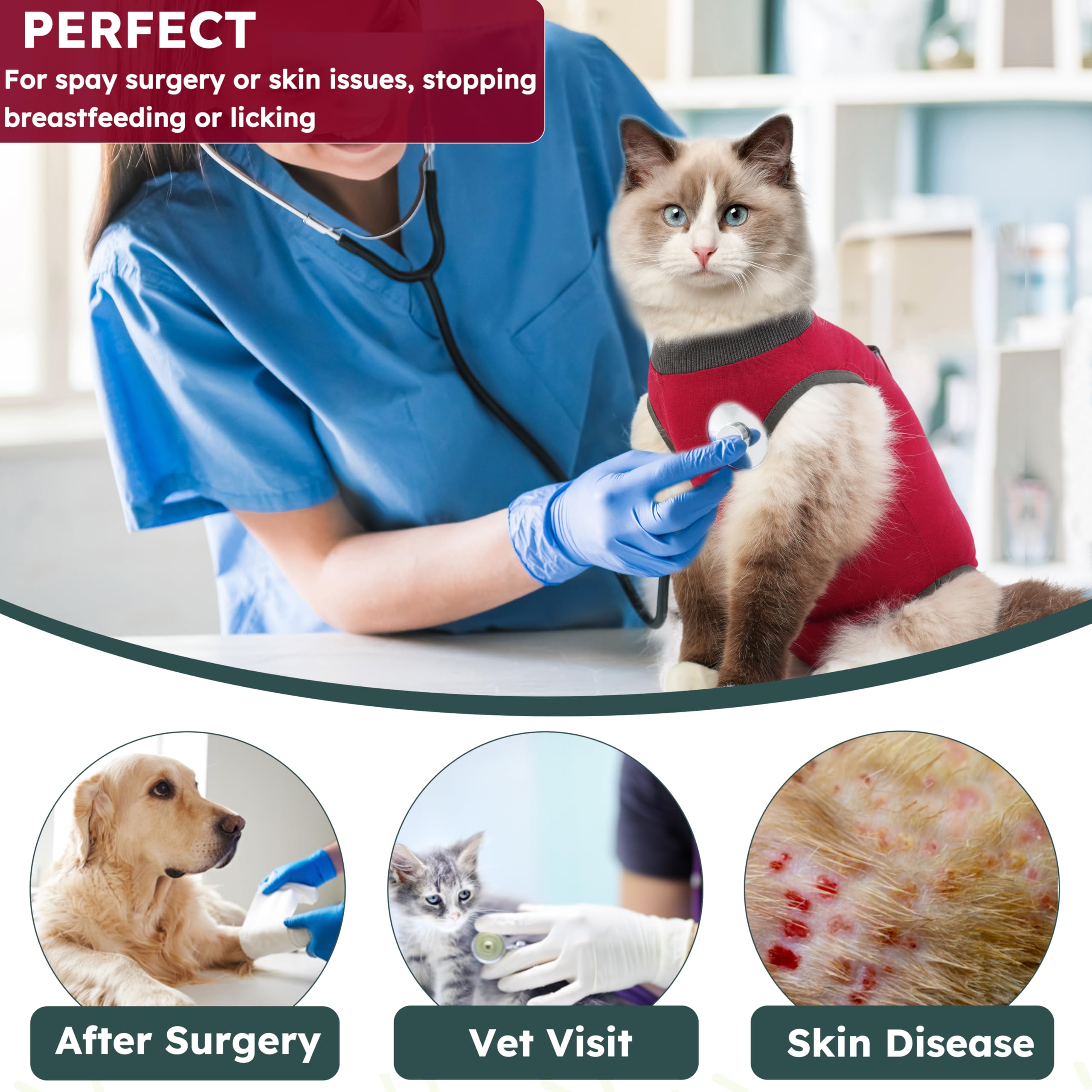 Hpetppy guide de mesures et comparaison des tailles pour bon ajustement
